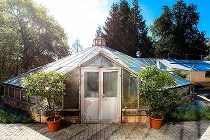 Schauhaus im Botanischen Garten (Foto: Maike Glöckner)