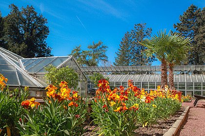 Gewchshuser im Botanischen Garten (Foto: Maike Glckner)