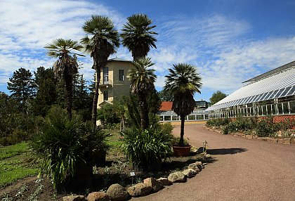 Turm im Botanischen Garten (Foto: Maike Glöckner)
