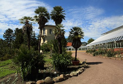 Turm im Botanischen Garten (Foto: Maike Glckner)