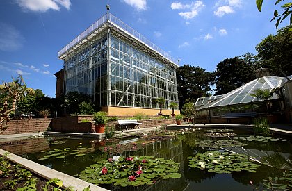 Großes Tropenhaus im Botanischer Garten (Foto: Maike Glöckner)